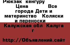 Рюкзак -кенгуру Baby Bjorn  › Цена ­ 2 000 - Все города Дети и материнство » Коляски и переноски   . Калужская обл.,Калуга г.